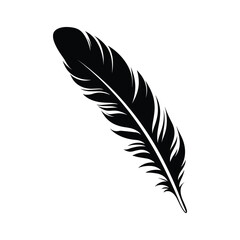 Obraz premium Black fluffy feather. Hand drawing vintage art realistic quill feathers for pen detailed isolated vector elegant silhouette sketch bird plume set