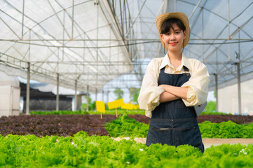 Asian farmer woman working at salad farm,Female asia Growing vegetables for a wholesale business in the fresh market