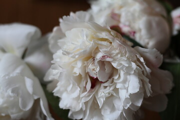 bouquet of white roses