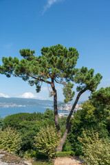 Fototapeta premium View over Vigo harbour and estuary from Parque Monte do Castro in Vigo.