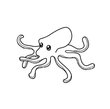 hand drawn illustration of octopus cartoon character  happy, ocean, animals, 