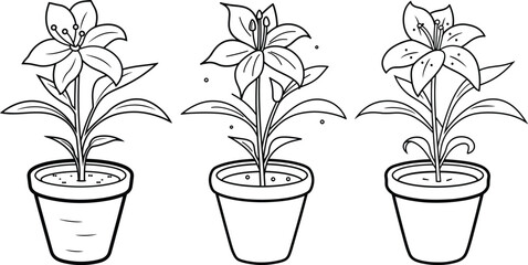 A set of hand drawn lily flowers outline, easy black and white flower coloring page - obrazy, fototapety, plakaty