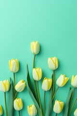 Spring tulip flowers on emerald background top view in flat lay style 