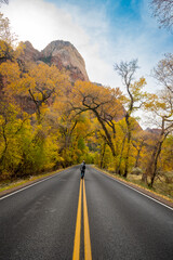 Travel Wonders road surrounded by fall colors at Zion National Park