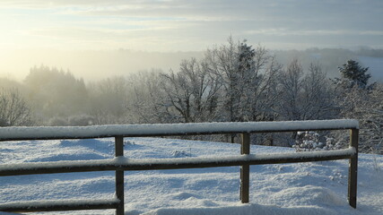 matin d'hiver