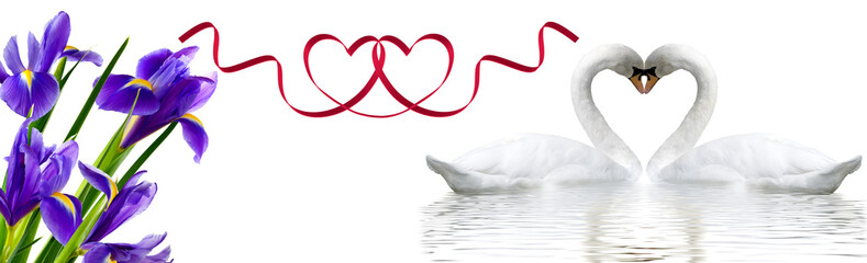 Two swans form a heart shape with their necks