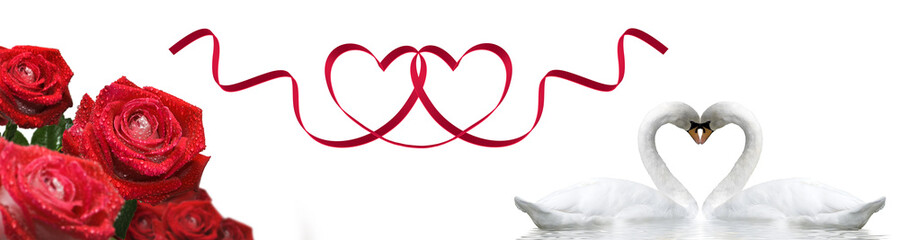 Two swans form a heart shape with their necks