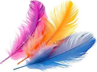 carnival colorful feather png transparent background
