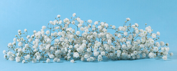 Small white Gypsophila flowers on blue background..Fluffy and cloud-like Gypsophila, commonly known as 'Baby's breath'. - Powered by Adobe