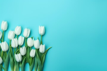 Spring tulip flowers on turquoise background top view in flat lay style 