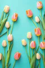 Spring tulip flowers on teal background top view in flat lay style