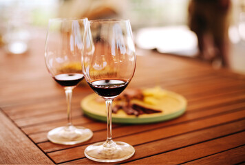 Lunch with fresh appetizers and red wine served outdoors in a green meadow