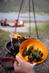 Campfire cooking of food in the nature while camping in summer