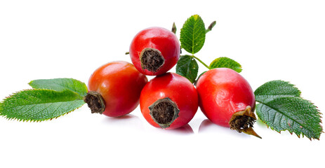 Rosehip berries isolated on white background.