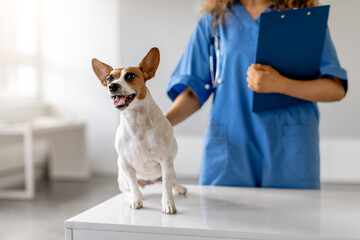 Happy dog with vet holding clipboard in clinic