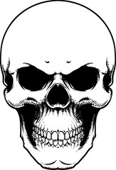 basic skull detailed