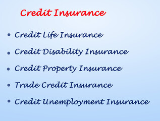 Obraz premium Five Types of Credit Insurance