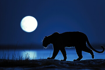 The regal allure of the Panther under the moonlight - obrazy, fototapety, plakaty