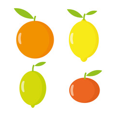Citrus whole fruits: orange, lemon, lime and mandarin. 
