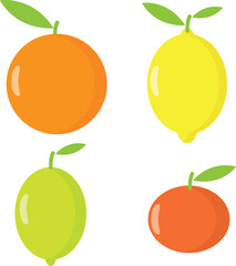 Citrus whole fruits: orange, lemon, lime and mandarin. Vector illustration
