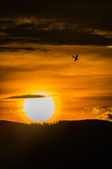 Flugzeug vor Sonnenuntergang 