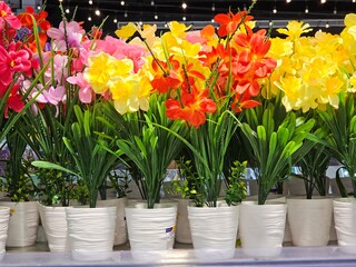 Natural Plants with yellow red pink flower and leaf Background Images HD