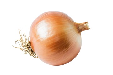 A simple image of an onion displayed on a white background. Suitable for various uses