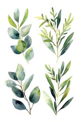 A set of four watercolor leaves on a white background. Perfect for nature-inspired designs or botanical-themed projects