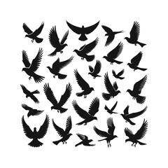 set of bird vector silhouette