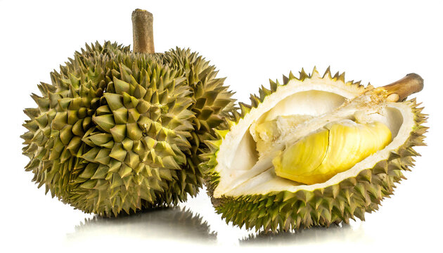 Durians ganz und aufgeschnitten isoliert auf wei&szlig;en Hintergrund, Freisteller 