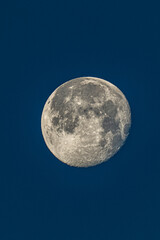 Mond