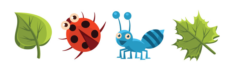 Funny Insect Small Crawling Animal Vector Set