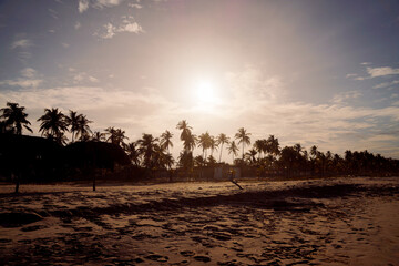 Atardecer con palmeras en playas del caribe en venezuela