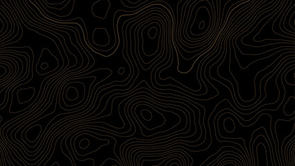 Luxury gold abstract line Topographic map art background. Abstract banner with golden topographic contour. Vector concept map design. Luxury gold abstract line art background vector.