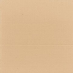 Fototapeta premium cardboard Paper Texture, Grainy craft Paper Background Texture