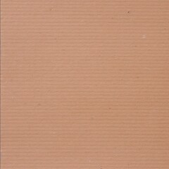 Fototapeta premium cardboard Paper Texture, Grainy craft Paper Background Texture