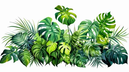 Afwasbaar Fotobehang Tropische bladeren Exotic leaves, vibrant colors a perfect backdrop for your summer designs and banners.
