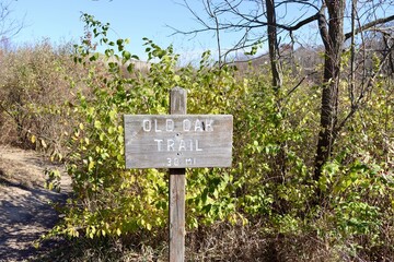 The old wood trail sign in the park.
