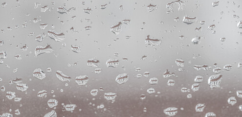 Raindrops on the window glass.