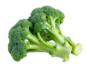 Close Up of Broccoli on isolate Background