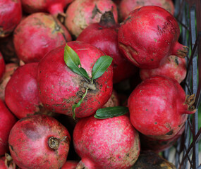 Organic, natural agriculture in the garden of the village house. Pomegranate fruit from the Punica granatum L. family. Photo of a lot of red and pink shiny fruits in a large crate, basket.