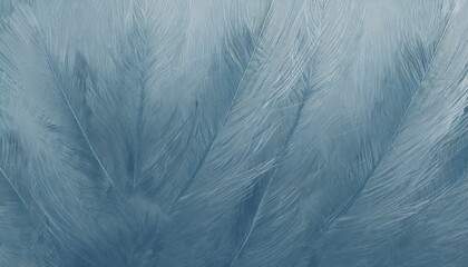 beautiful pastel dark blue color trends feather pattern texture background