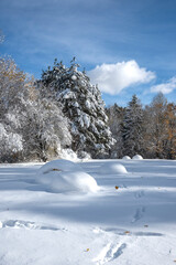 Winter Landscape of South Park in city of Sofia, Bulgaria