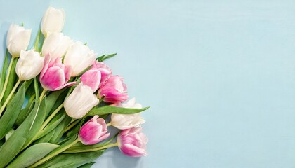 beautiful composition spring flowers bouquet of pink white tulips flowers pastel blue background valentine s day easter birthday happy women s day mother s day flat lay top view copy space