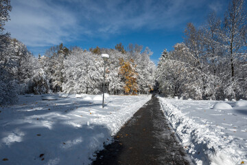 Winter Landscape of South Park in city of Sofia, Bulgaria