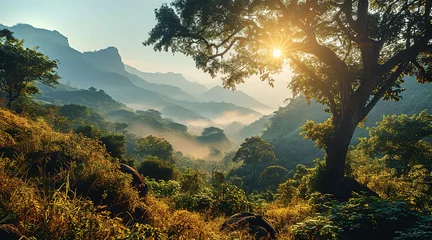 Foto op Canvas Beautiful iconic landscape of nature park at sunset with forest and mountains © IRStone