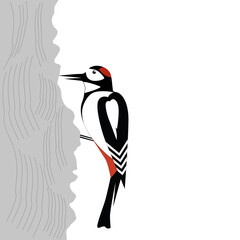 forest bird, woodpecker sitting on tree, cute woodland animal, cartoon, vector illustration isolated on white background