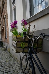 Fototapeta na wymiar a bike parked near a building with flowers in the basket