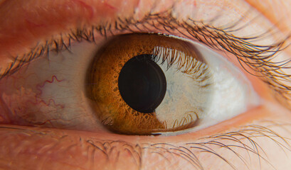 Close up of a human eye