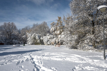 Winter Landscape of South Park in city of Sofia, Bulgaria
